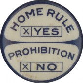 HOME RULE X YES PROHIBITION X NO