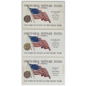UNITED EQUAL SUFFRAGE STATES OF AMERICA (3)