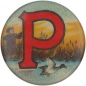 P (PETERS SHELLS)