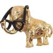 (Elephant with Goldwater glasses)