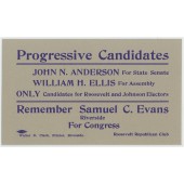 Progressive Candidates...for Roosevelt and Johnson Electors