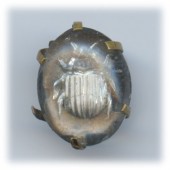(Bryan silver bug)